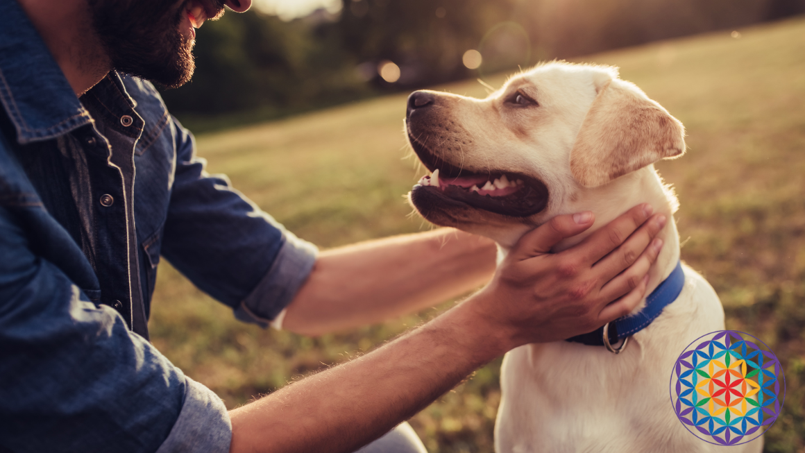 La Giornata del Cane La Giornata del Cane